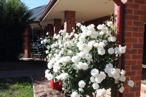 Gundaroo Manor Bed & Breakfast - Hotel WA 3