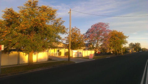 Gunnedah Lodge Motel - Hotel WA 1
