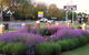 Guyra Motor Inn - thumb 1