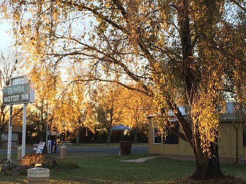 Guyra Motor Inn - Hotel WA 2