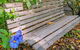 Hakea Bush Cabin - thumb 3