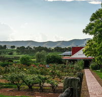 Hanging Tree Wines - Hotel WA