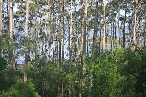 Honeymoon View - Hotel WA 2