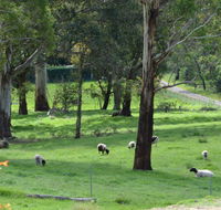 JAN'S ART STUDIO AT ASHBY RISE - Hotel WA