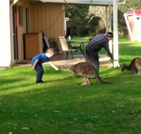 Kalgan River Chalets and Caravan Park - Hotel WA