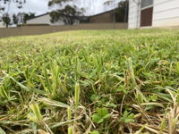 Book Karoonda Accommodation Vacations Hotel WA Hotel WA