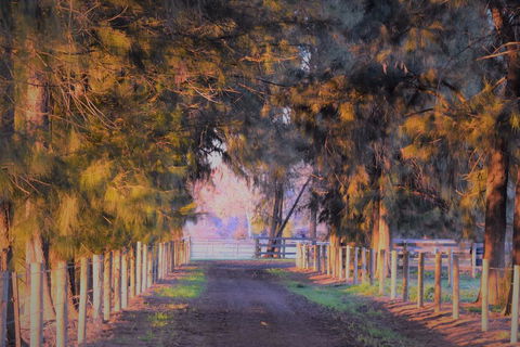 King River Cottage - Hotel WA 3