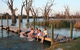 Kingston-on-Murray Caravan Park - thumb 0