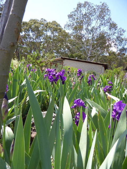 Lakeside Lodge Armidale - Hotel WA 3