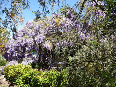 Lakeside Lodge Armidale - Hotel WA 1