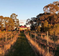 Lillicur Vineyard BB - Hotel WA