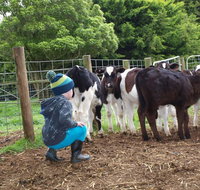 Manderley Park Farmstay BB - Hotel WA