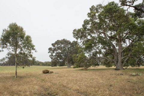 Metricup House - Elegant Country Retreat - Hotel WA 2