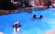 Moore Park Beach Motel - thumb 0