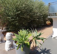 Mt.Lawley superb 2 BR Apartment Ideally located 5 - Hotel WA