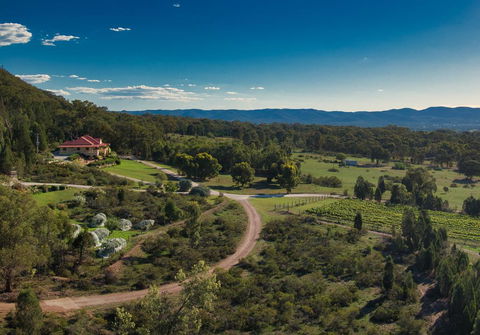 Mudgee Homestead Guesthouse - Hotel WA 1