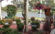 Murray River Motel - thumb 2