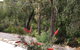 Cape Villas Dunsborough Unit 2 - thumb 22