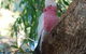 Midgard Cottage - Great Location & Close To Airport - thumb 35
