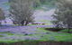 Midgard Cottage - Great Location & Close To Airport - thumb 38