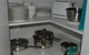 Midgard Cottage - Great Location & Close To Airport - thumb 21