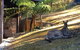 Kangaroo Valley Cottage - thumb 3