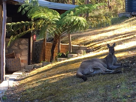 Kangaroo Valley Cottage - Hotel WA 3