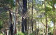 Kangaroo Valley Cottage - thumb 21
