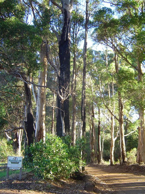 Kangaroo Valley Cottage - Hotel WA 21