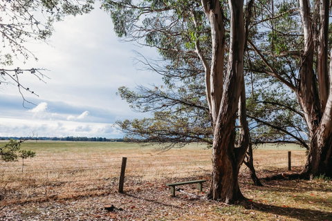 Margaret River Holiday Cottages - Hotel WA 22