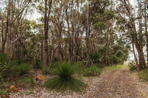 Margaret River Holiday Cottages - Hotel WA 31