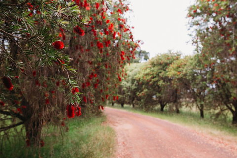 Margaret River Holiday Cottages - Hotel WA 17