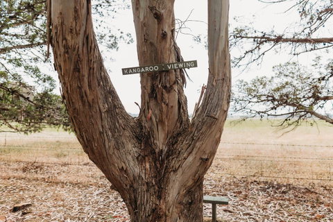 Margaret River Holiday Cottages - Hotel WA 20