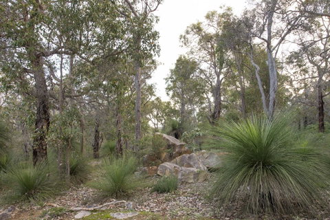 A Hidden Bush Delight - Hotel WA 23
