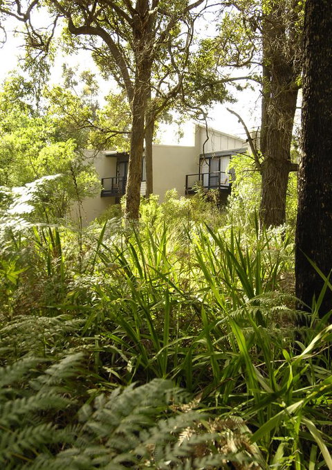 Margarets Forest - Hotel WA 41