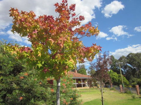 Bridgetown Valley Lodge - Hotel WA 40