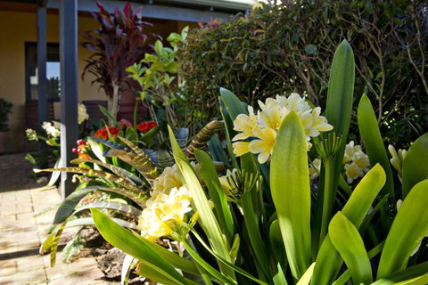 Vintages Accommodation - Hotel WA 19