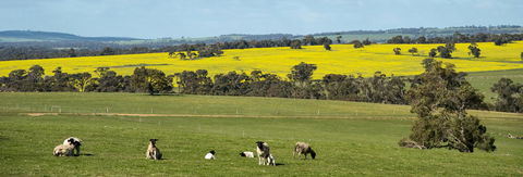 Kendenup Cottages And Lodge - Hotel WA 44