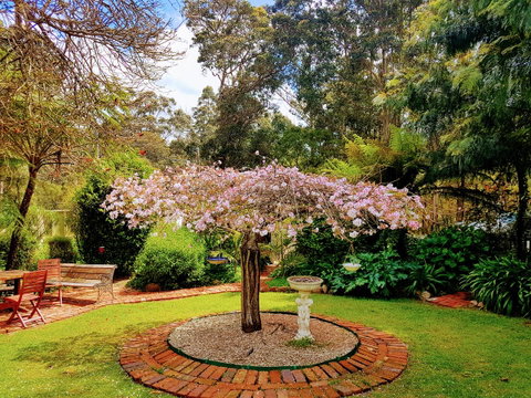 Adamsons Riverside Accommodation - Hotel WA 25
