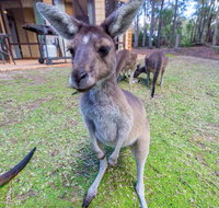 Yelverton Brook Eco Spa Retreat  Conservation Sanctuary - Hotel WA