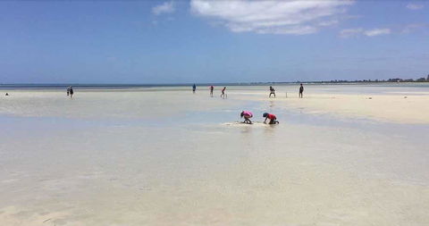 Beach House Dunsborough - Hotel WA 22