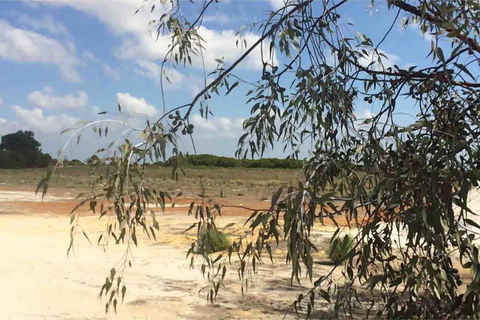 Ocean View Homestead - Hotel WA 16