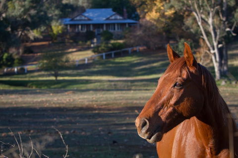 Historic Oakhill House Entire Estate - Hotel WA 9