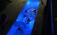 Rockpool - thumb 28