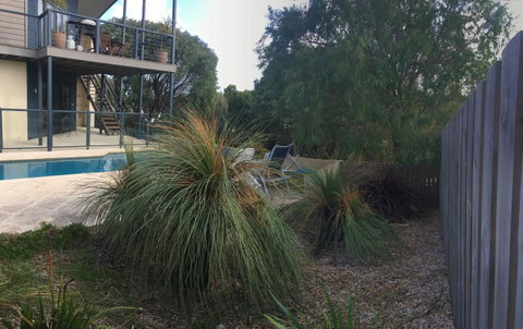 Rockpool - Hotel WA 25