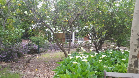 Two Sisters Chalets - Hotel WA 15