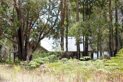 Scotsdale Valley Studios - Hotel WA 12