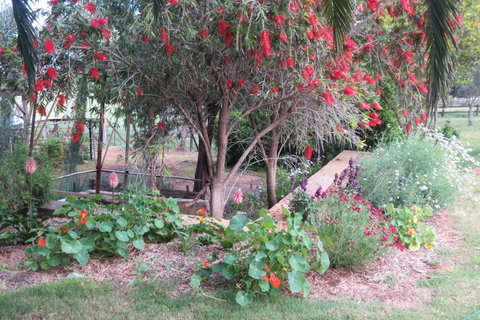 Bentwood Olive Grove Accommodation - Hotel WA 21