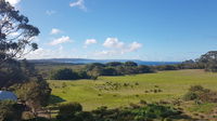 Torbay Seaview Apartment