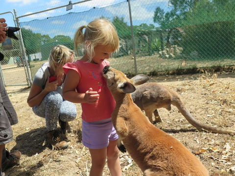 Jurien Beachfront Holiday Units - Hotel WA 36